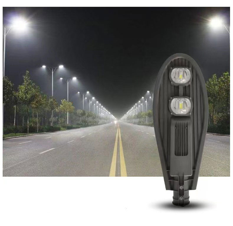Đèn đường hình lá 100W KGLED-DS100W