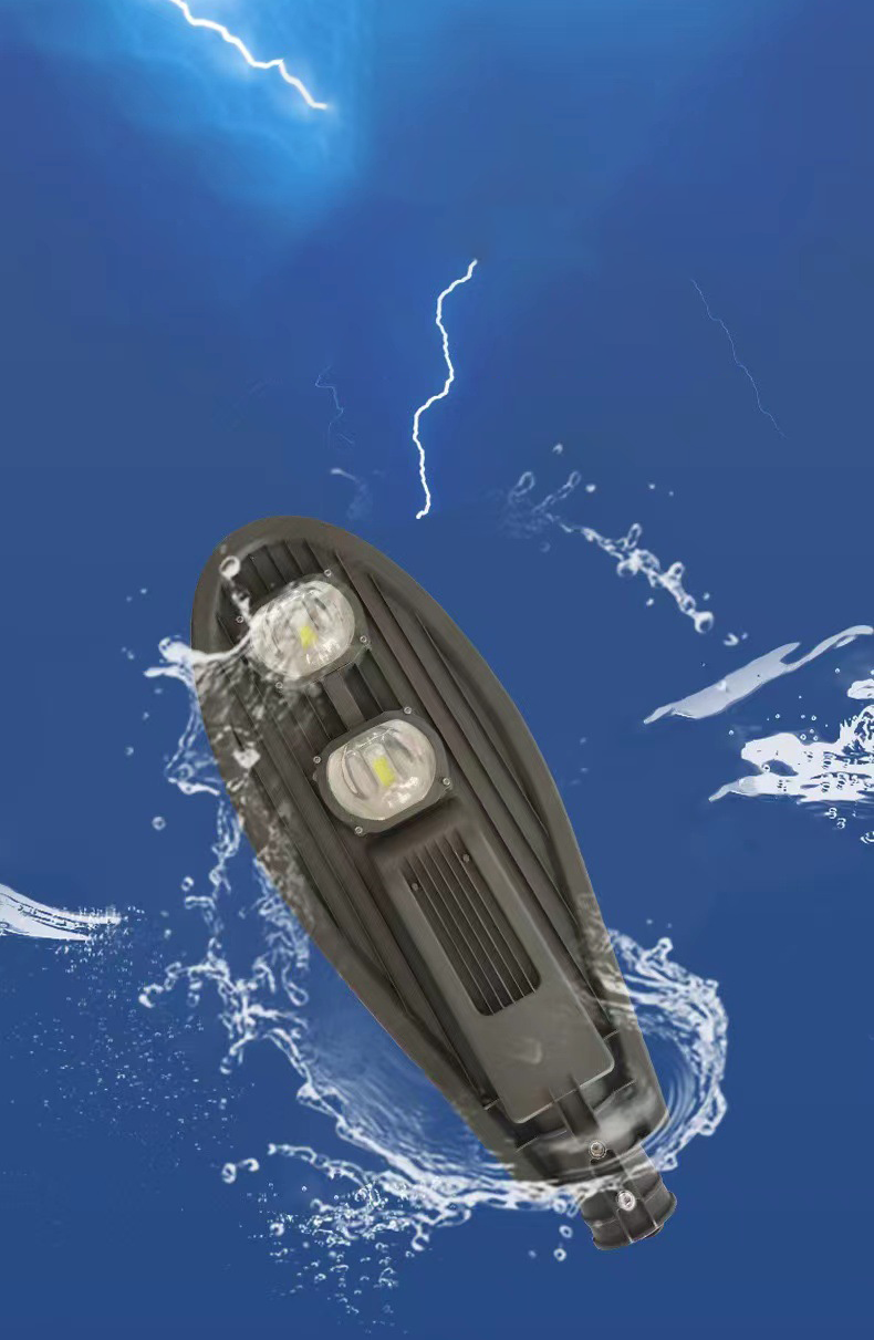 Đèn đường hình lá 100W KGLED-DS100W